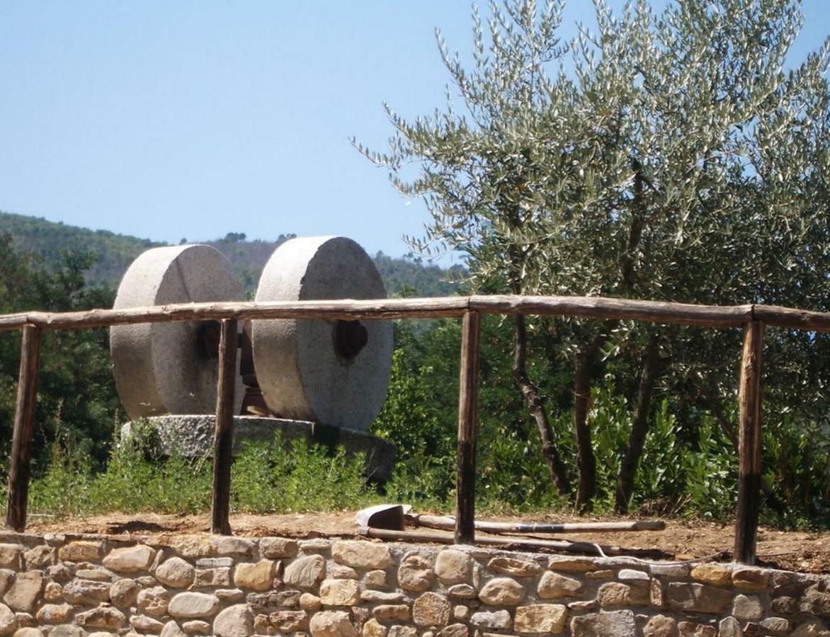 Appartement Il Frantoio - A